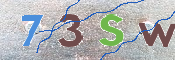 Immagine CAPTCHA
