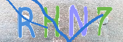 Immagine CAPTCHA