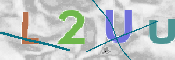 Immagine CAPTCHA