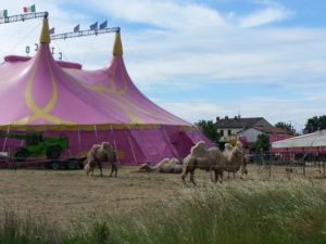 CIRCO