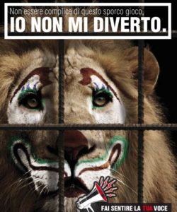 animali-al-circo