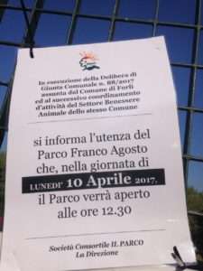 nuovocartelloconigli
