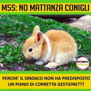 mattanza conigli 2