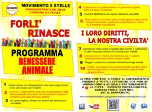 animali 2019